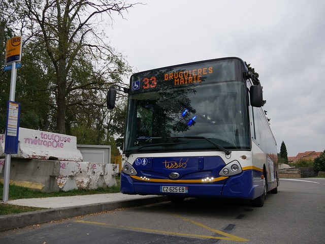 Kierowca autobusu liniowego